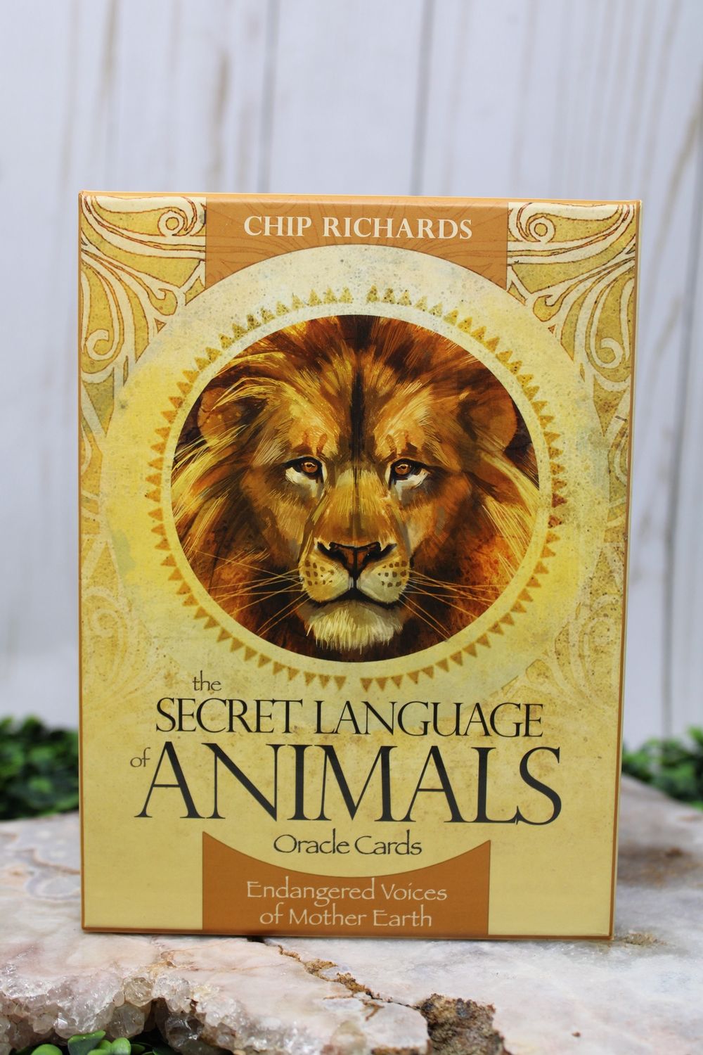 Secret Language of Animals, The