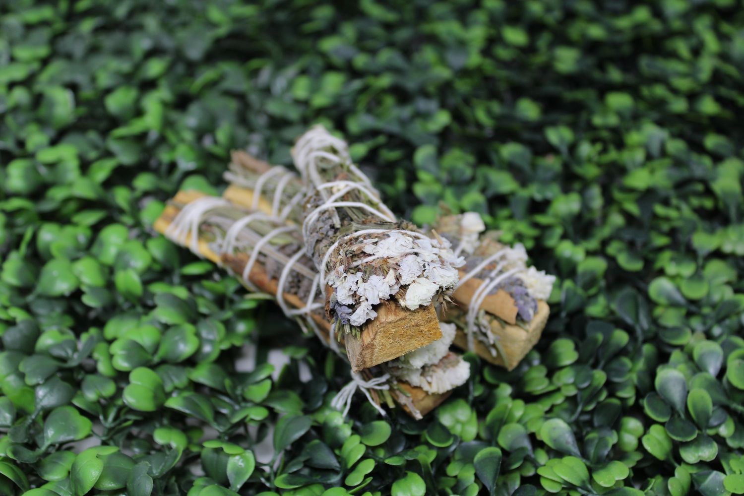 Palo Santo Bundle