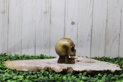 Mini Skull Backflow