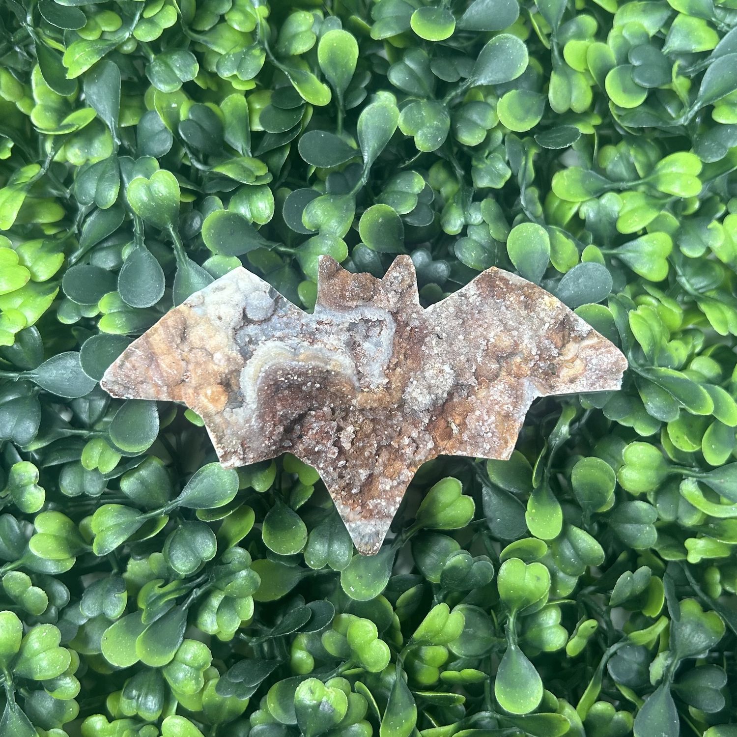 Druzy Bat 2x3&quot;, Type: 1