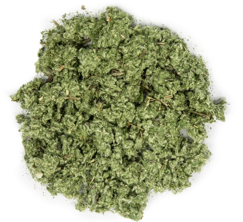 Mugwort, Size: Small