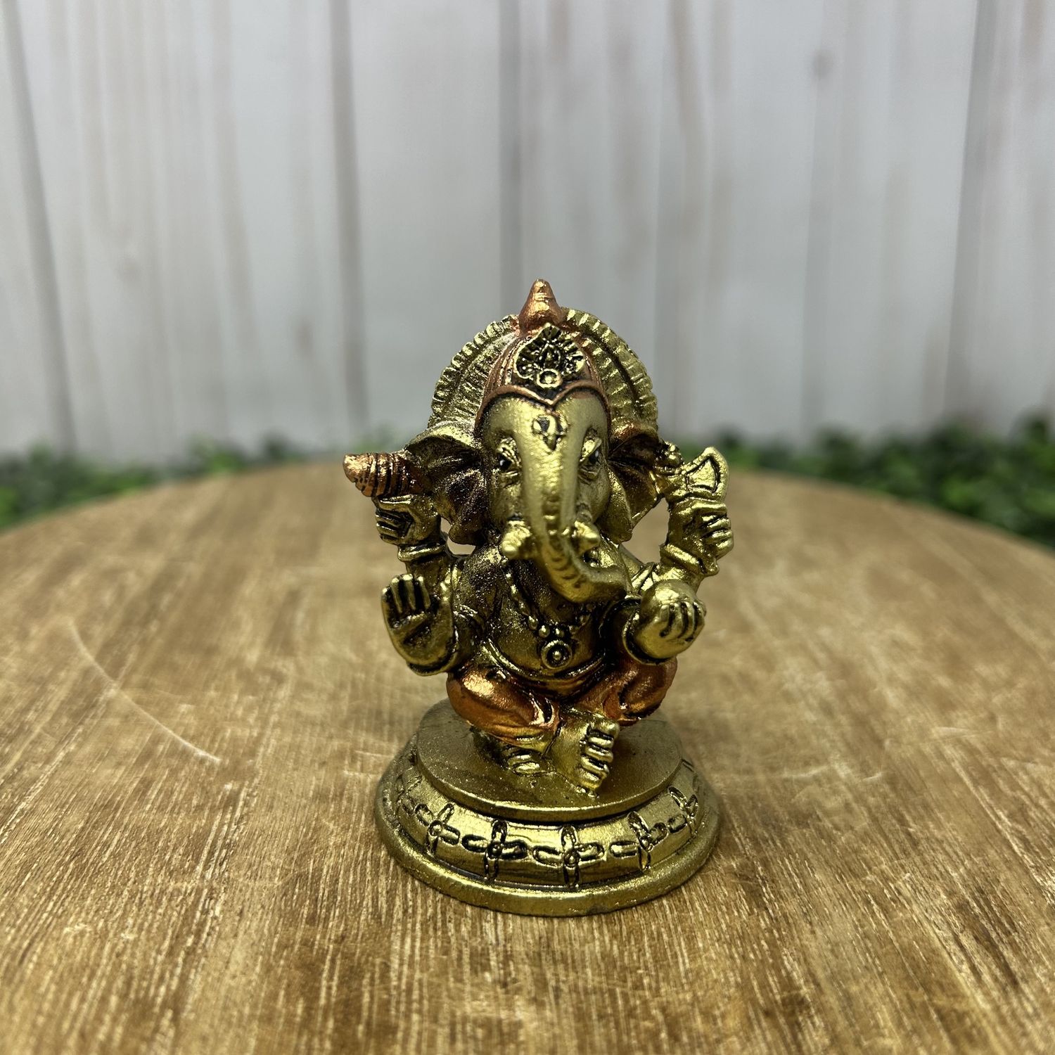 Ganesh Mini, Type: 1