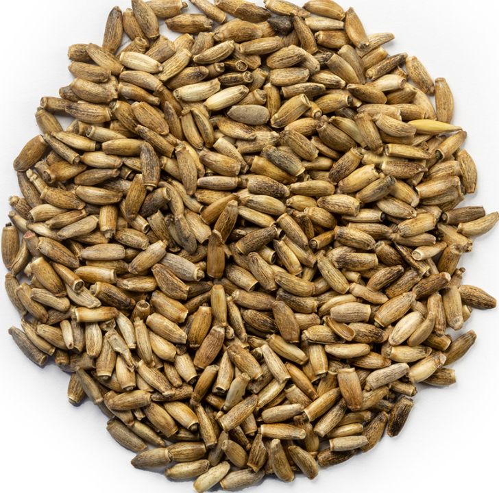 Milk Thistle, Size: Small