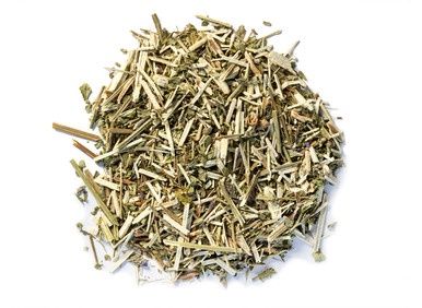 Vervain, Size: Small