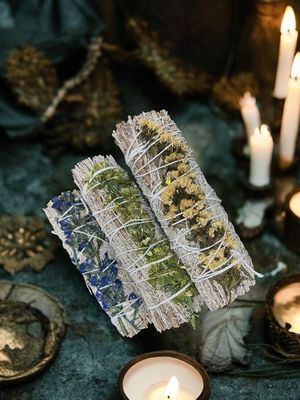 Blue Sage Sinuata 6"