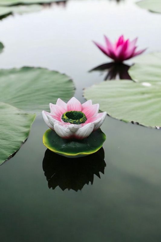 Mini Lotus Stand Backflow