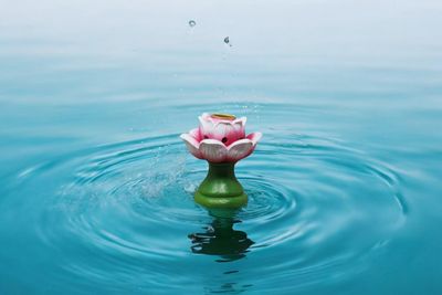 Tall Mini Lotus Backflow