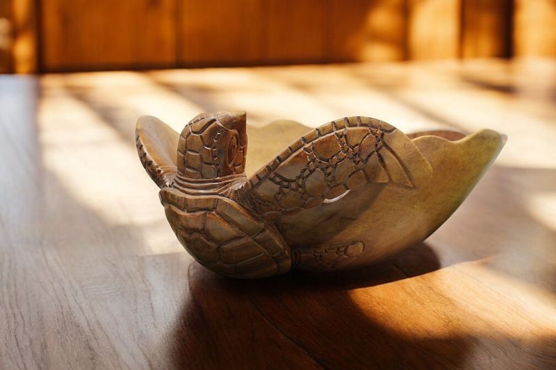 Wooden Turtle Bowl