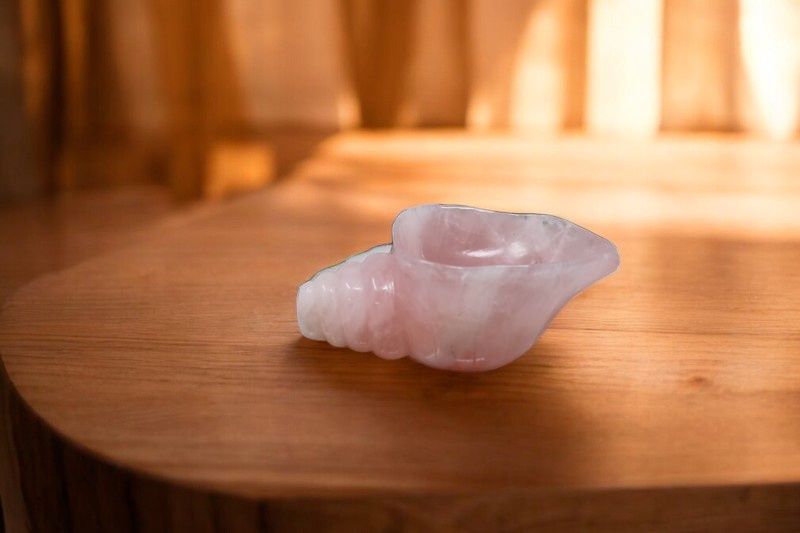 Conch Shell Bowl