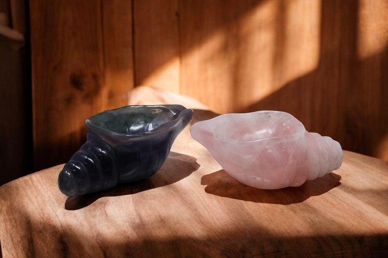 Conch Shell Bowl