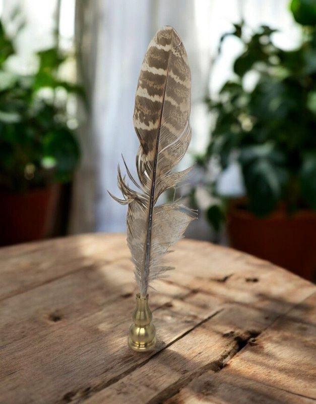 Turkey Feather