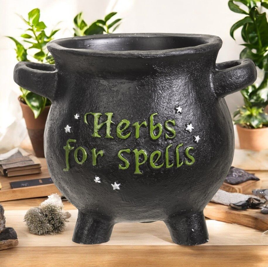 Herbs for Spells Cauldron LG