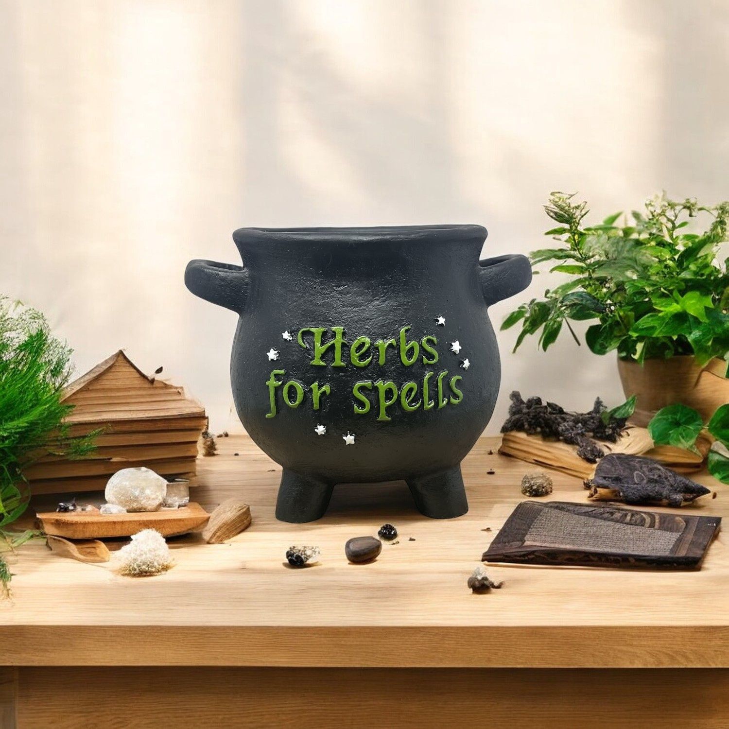 Herbs for Spells Cauldron