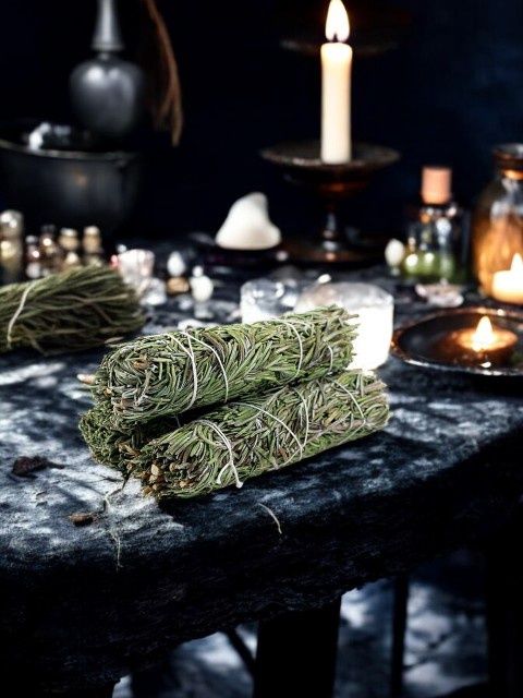 Mountain Sage 4&quot;