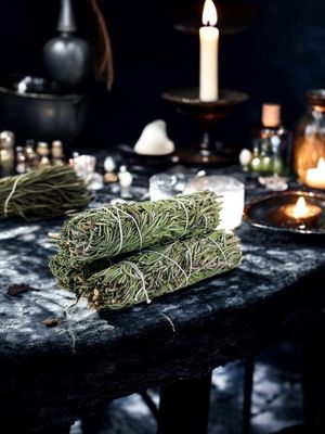 Mountain Sage 4&quot;
