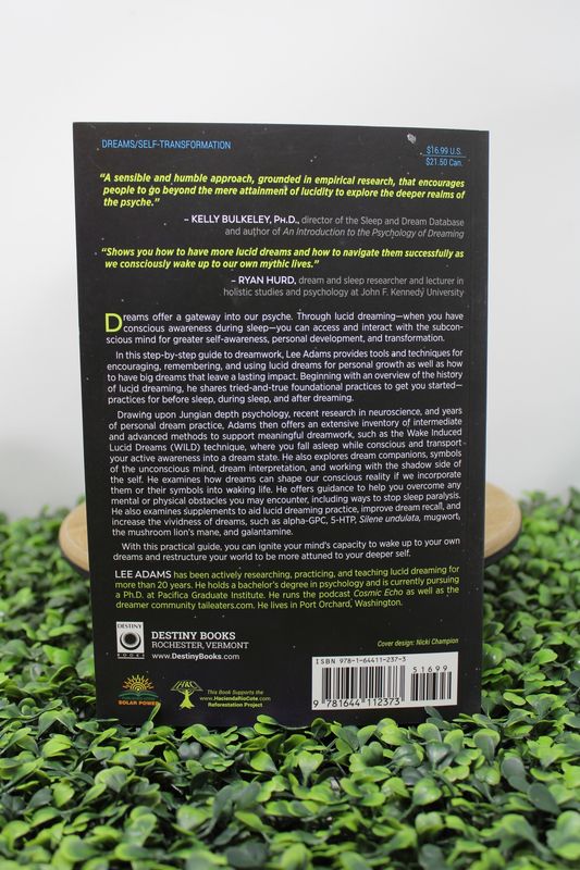 Visionary Guide To Lucid Dreaming By Lee Adams