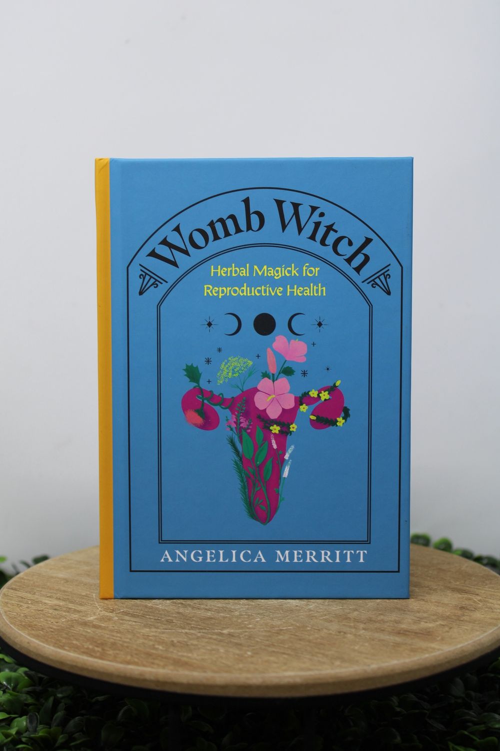 Womb Witch: Herbal Magick for Reproductive Health