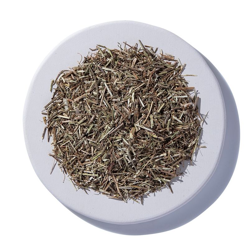 Blue Vervain