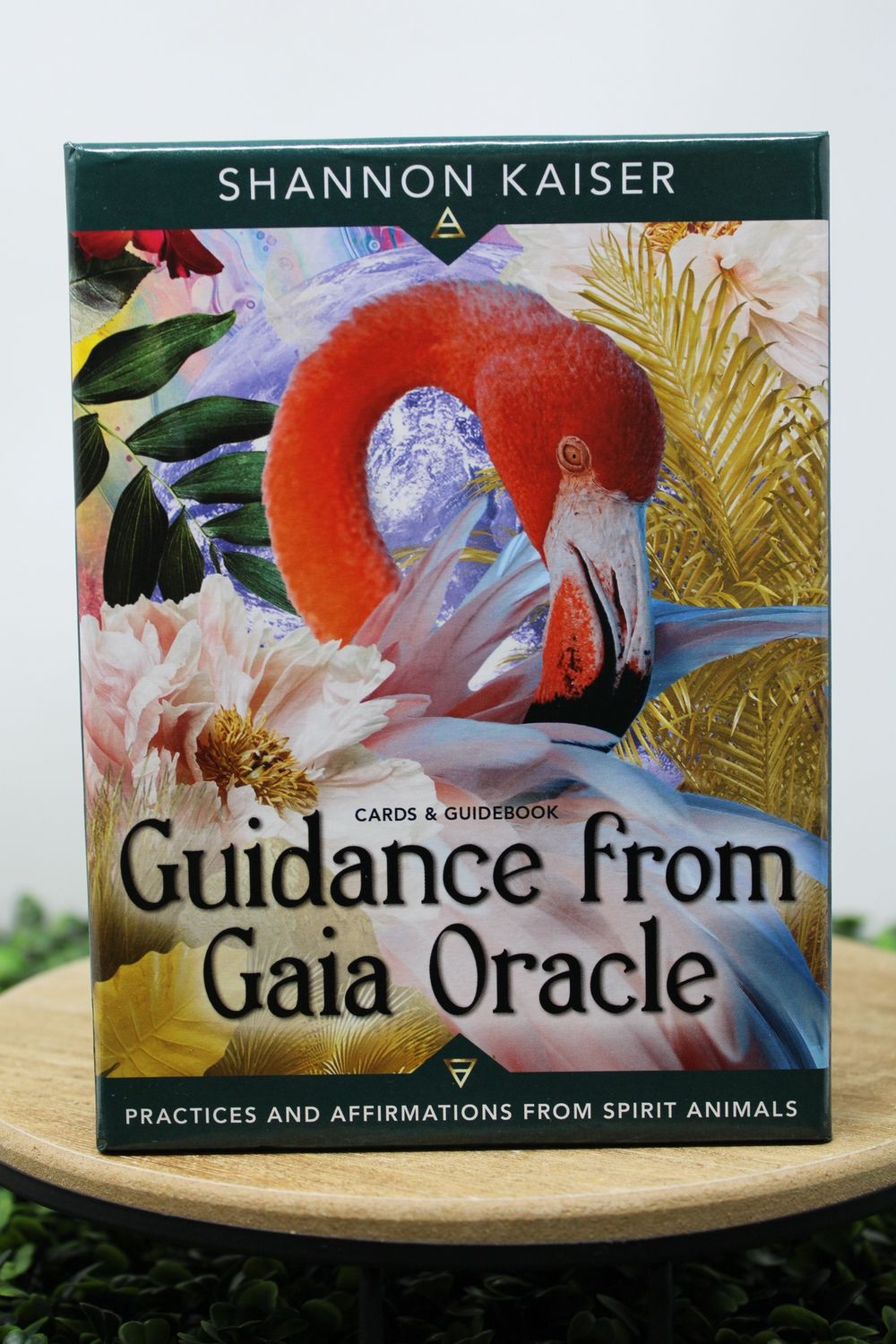 Guidance from Gaia Oracle