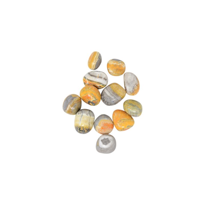 Bumblebee Jasper Tumble