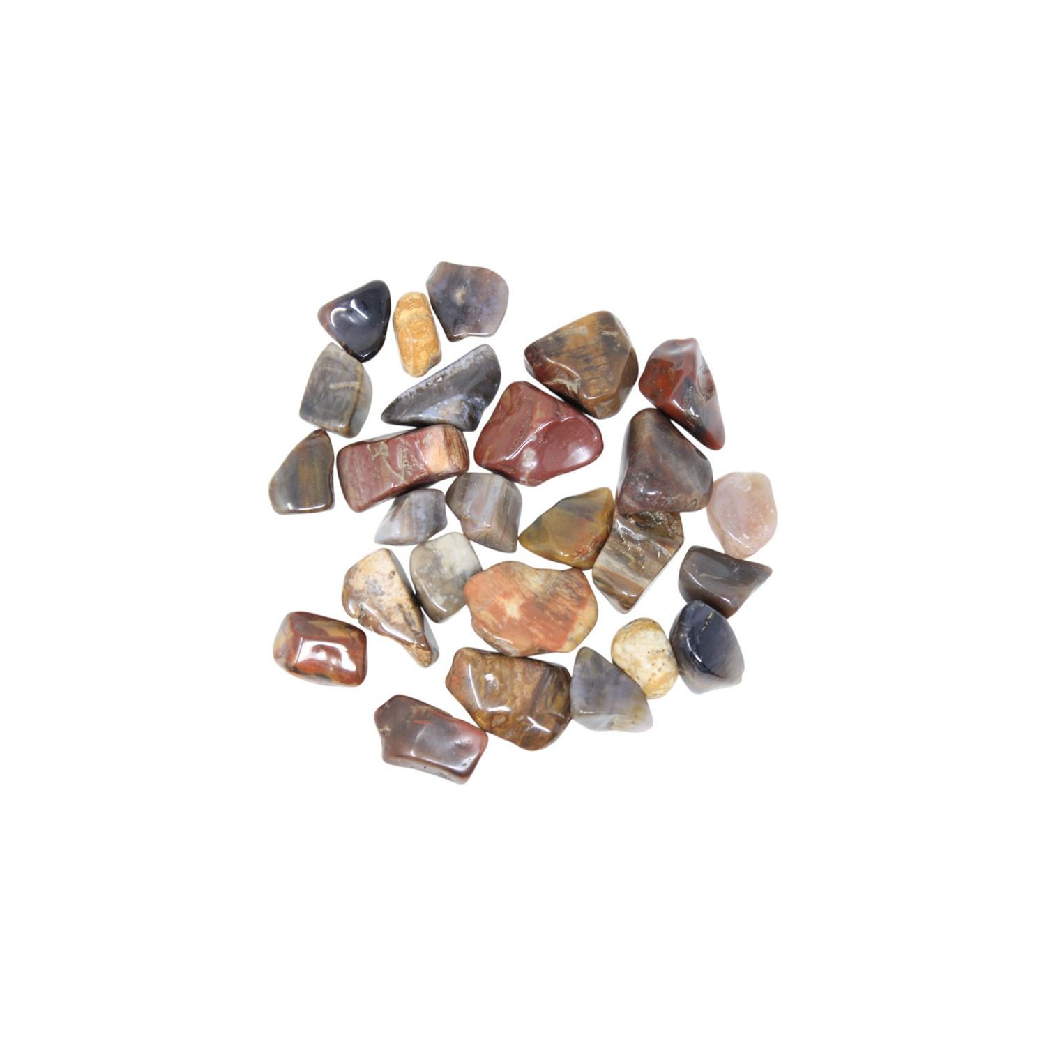 Petrified Wood Tumble