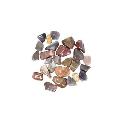 Petrified Wood Tumble