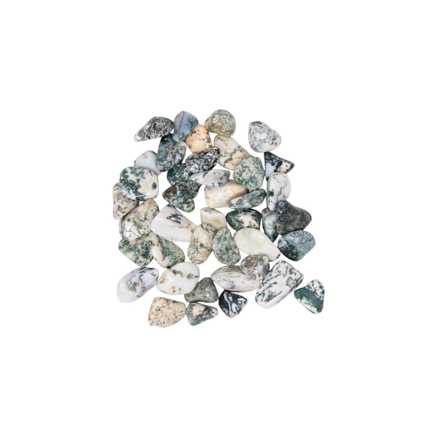 Tree Agate Tumble