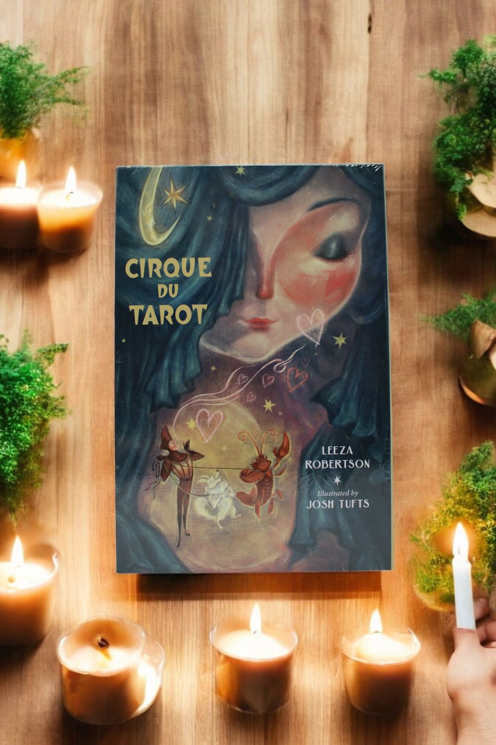 Cirque Du Tarot