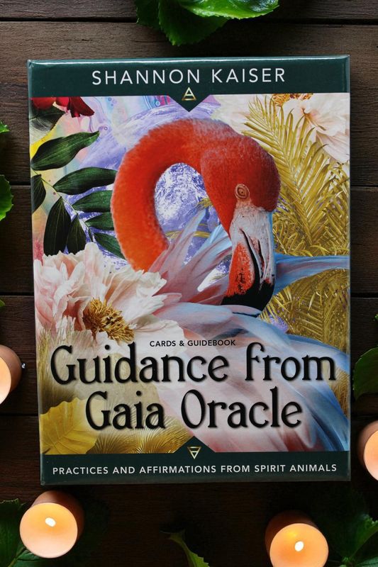 Guidance from Gaia Oracle