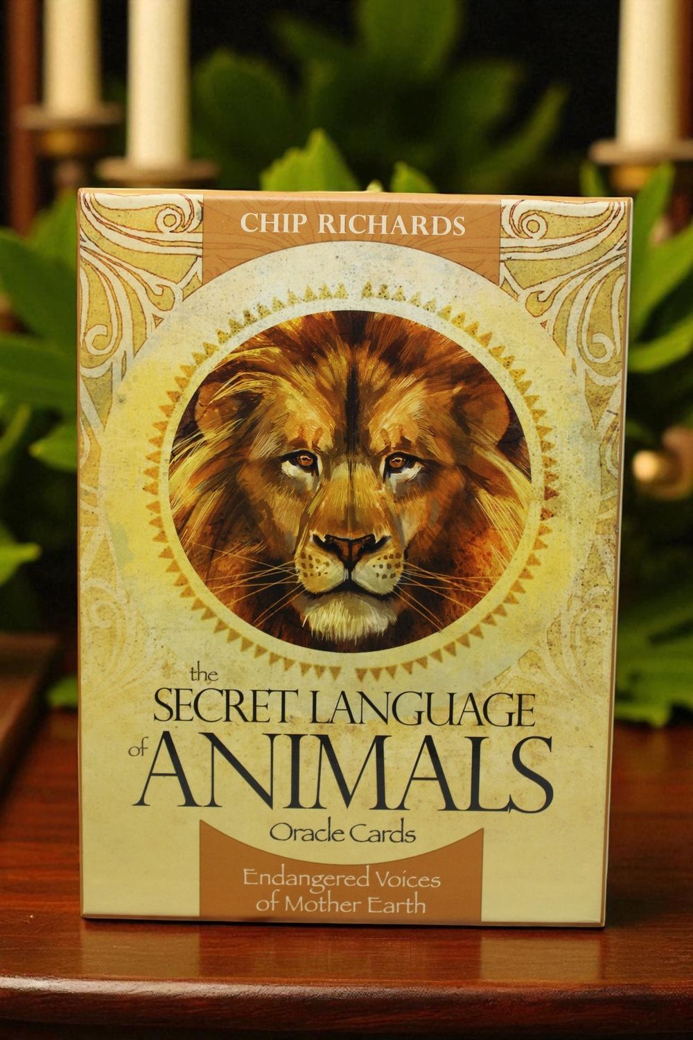 Secret Language of Animals, The