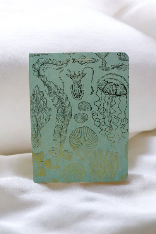 Sealife Sketches Journal 6x8