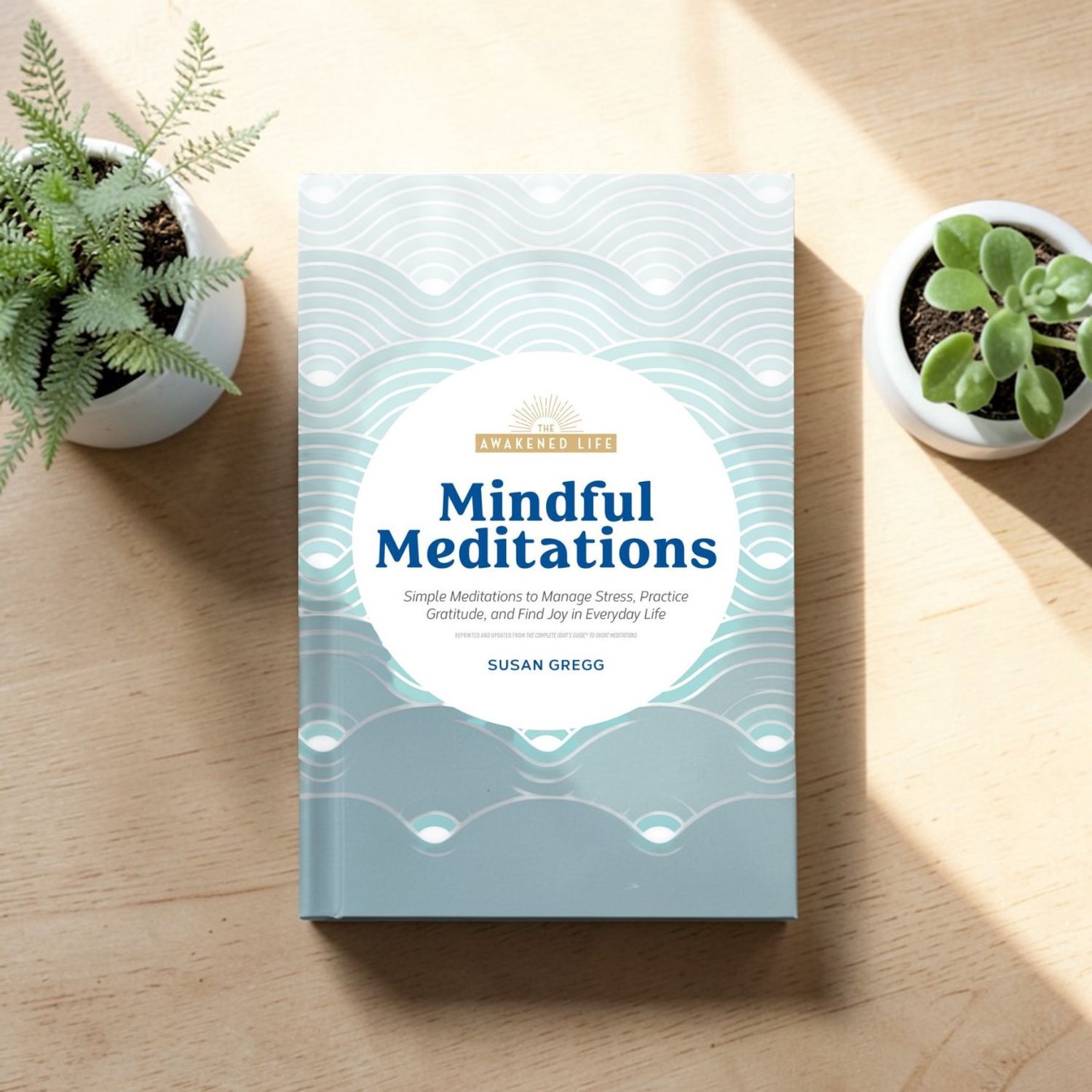 Mindful Meditations