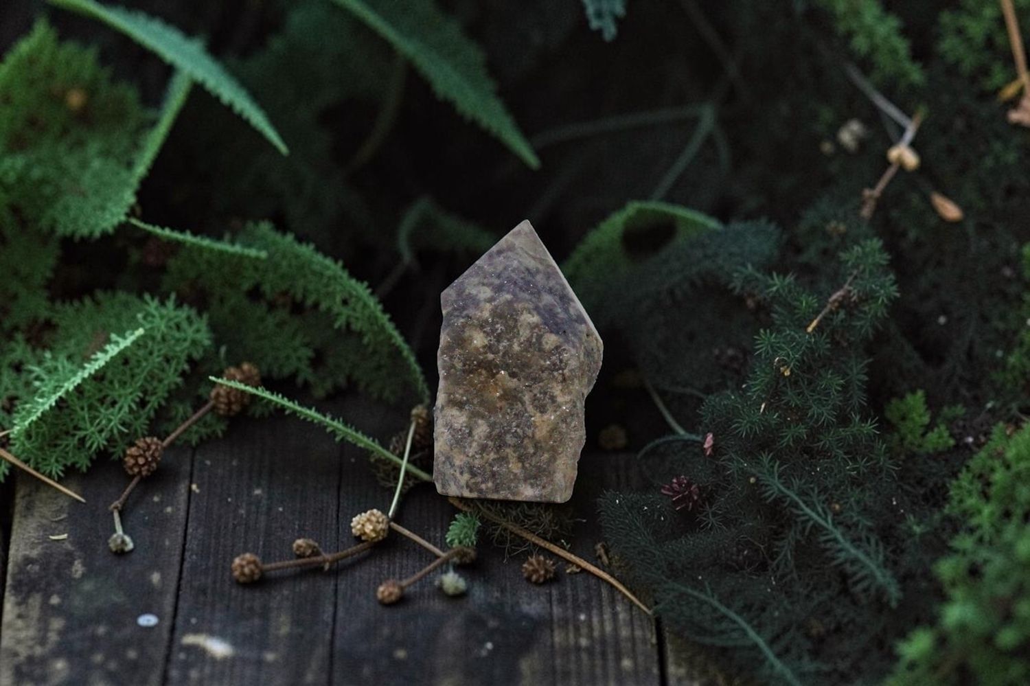 Lepidolite Power Point