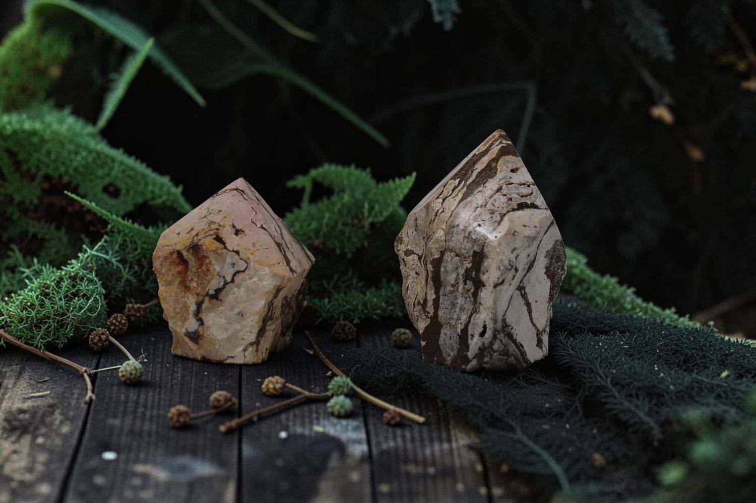 Zebra Jasper Power Point