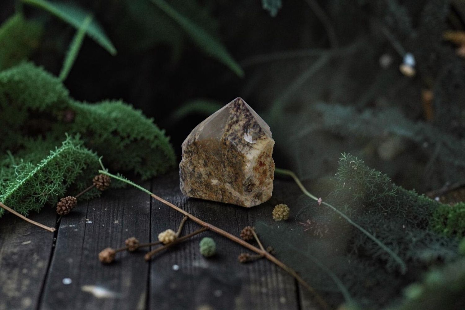 Crazy Lace Power Point LG