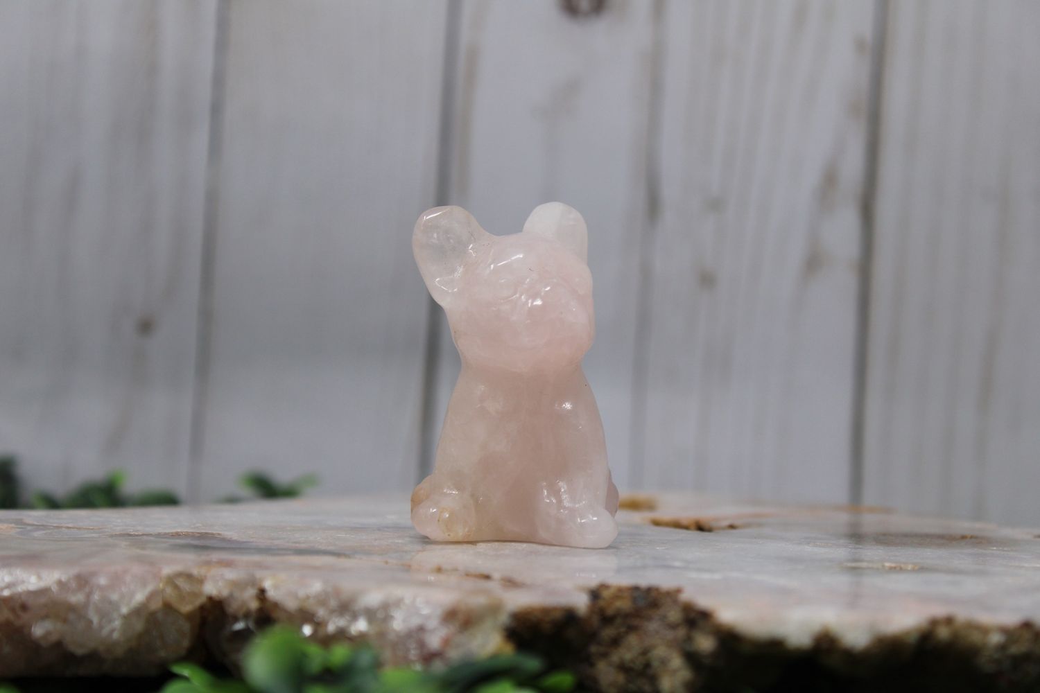 Crystal Frenchie 2", Crystal: Rose Quartz