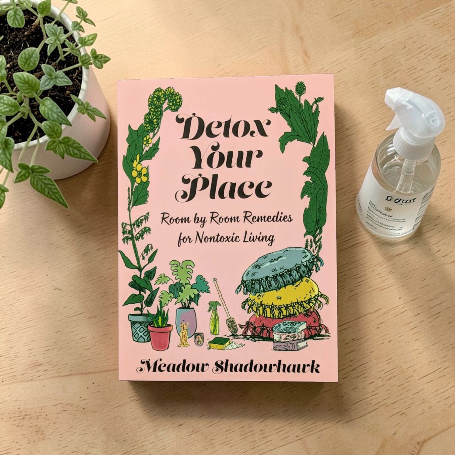 Detox Your Place: Room by Room Remedies for Nontoxic Living