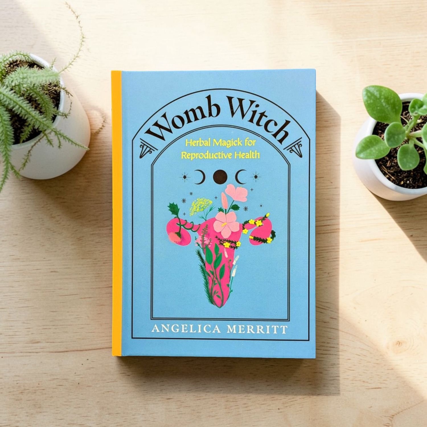 Womb Witch: Herbal Magick for Reproductive Health
