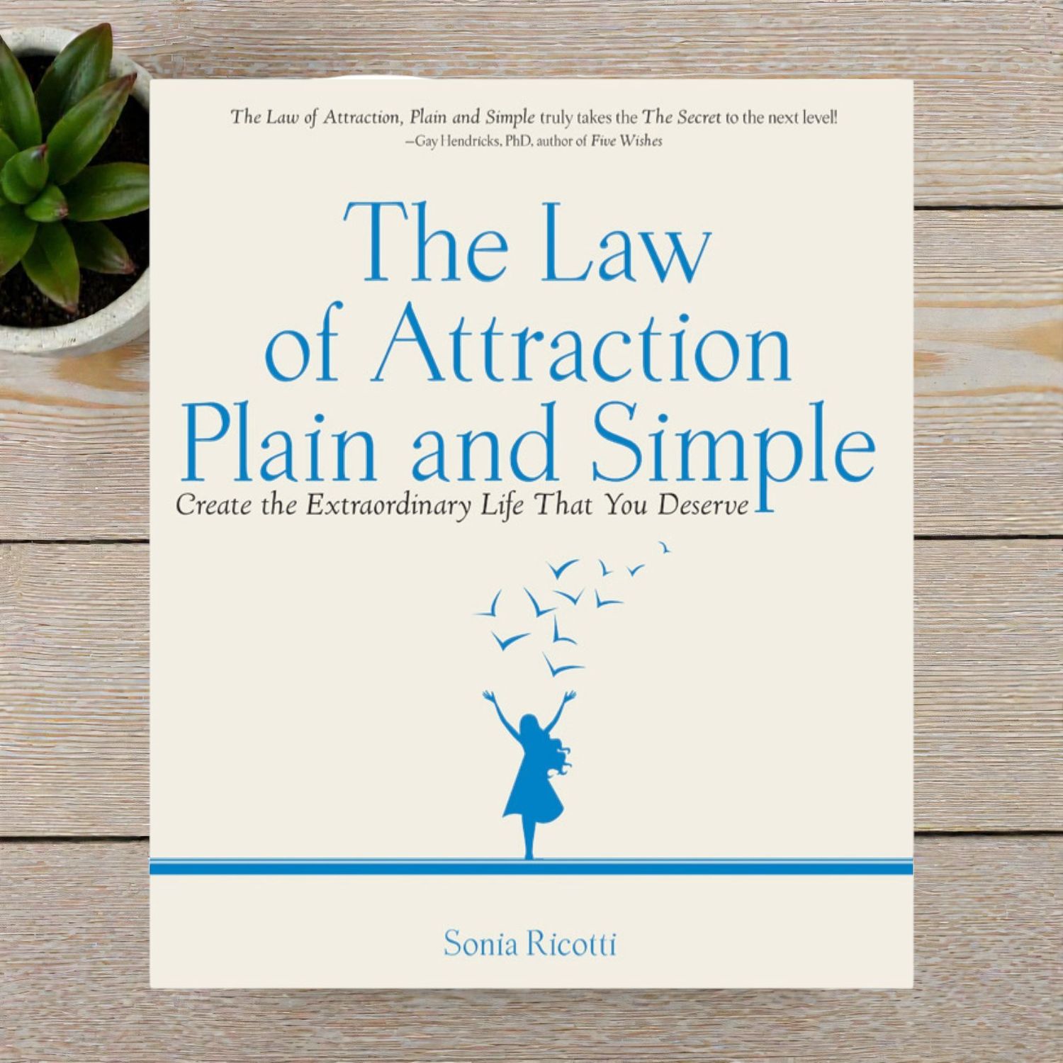 The Law of Attraction Plain and Simple