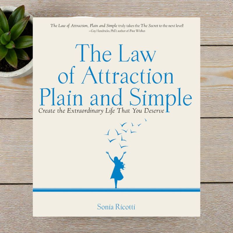 The Law of Attraction Plain and Simple