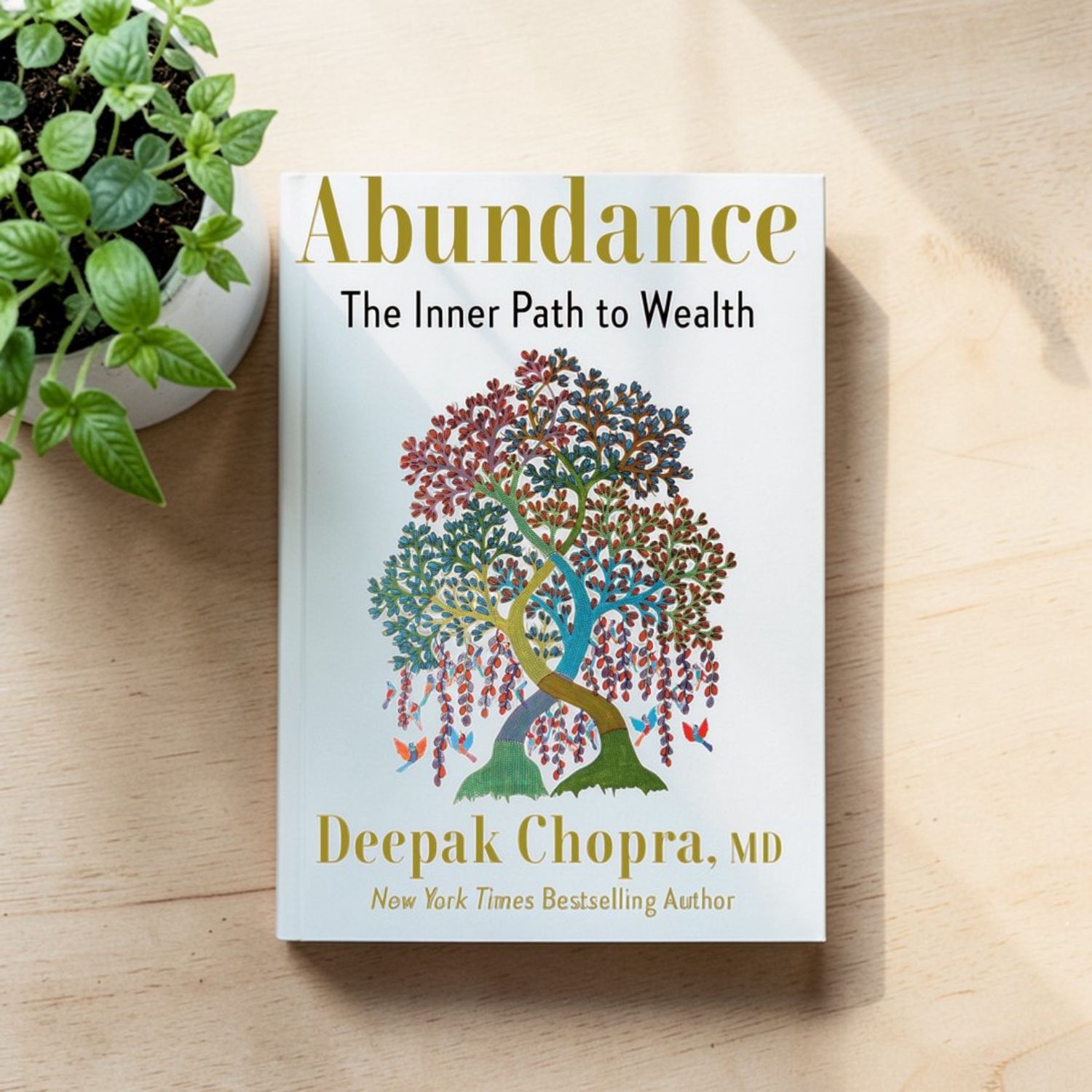 Abundance: The Inner Path to Wealth
