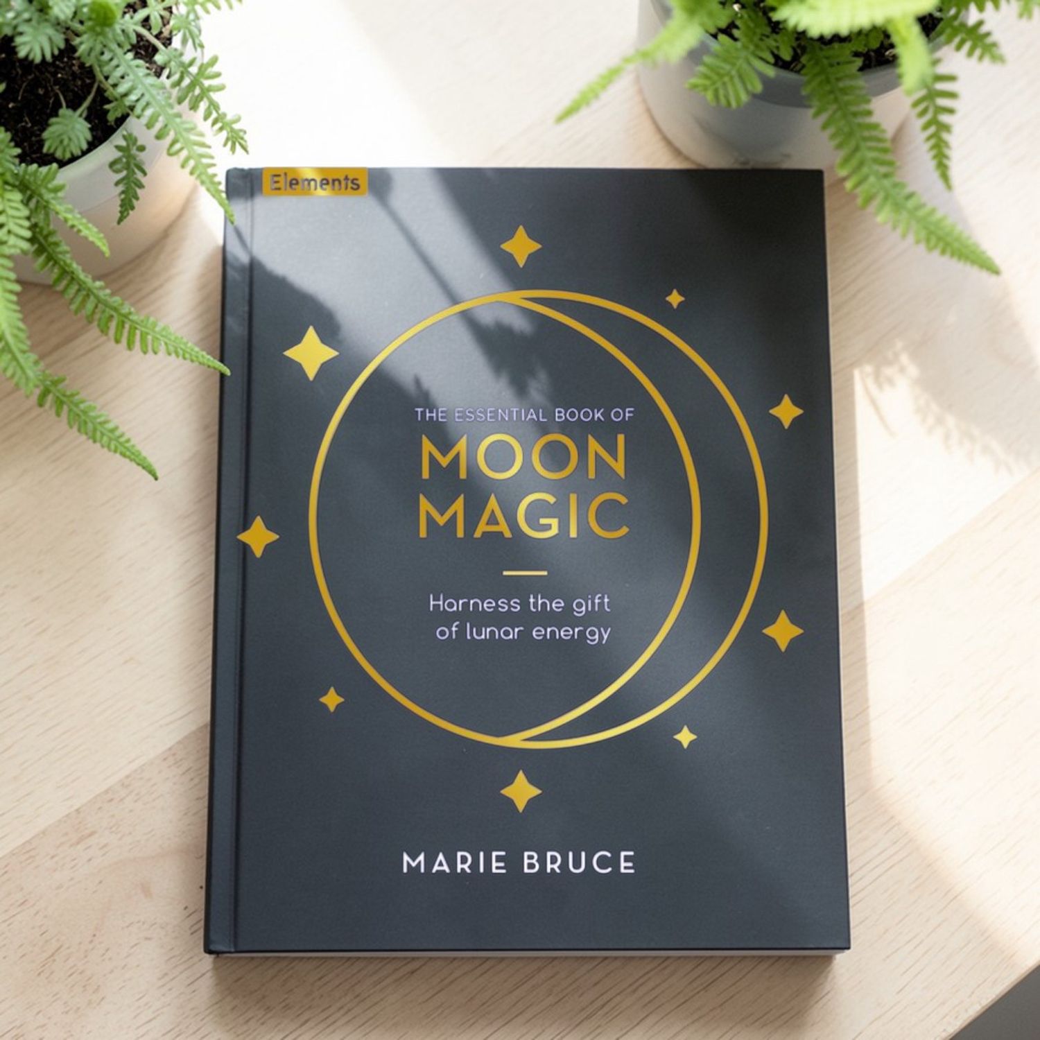 The Essential Book of Moon Magic