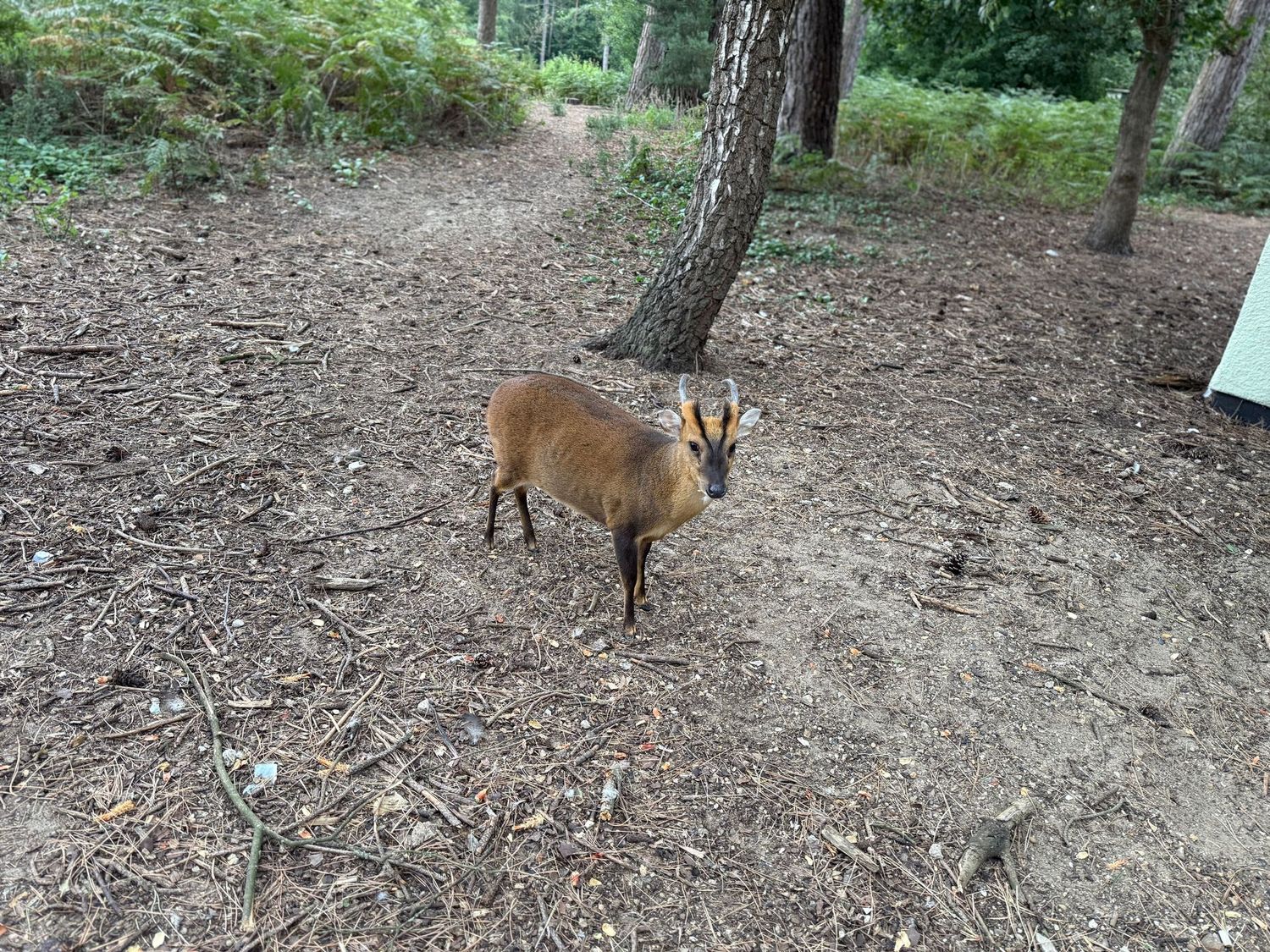 Center Parcs Packing List