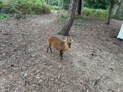 Center Parcs Packing List Center Parcs Packing List