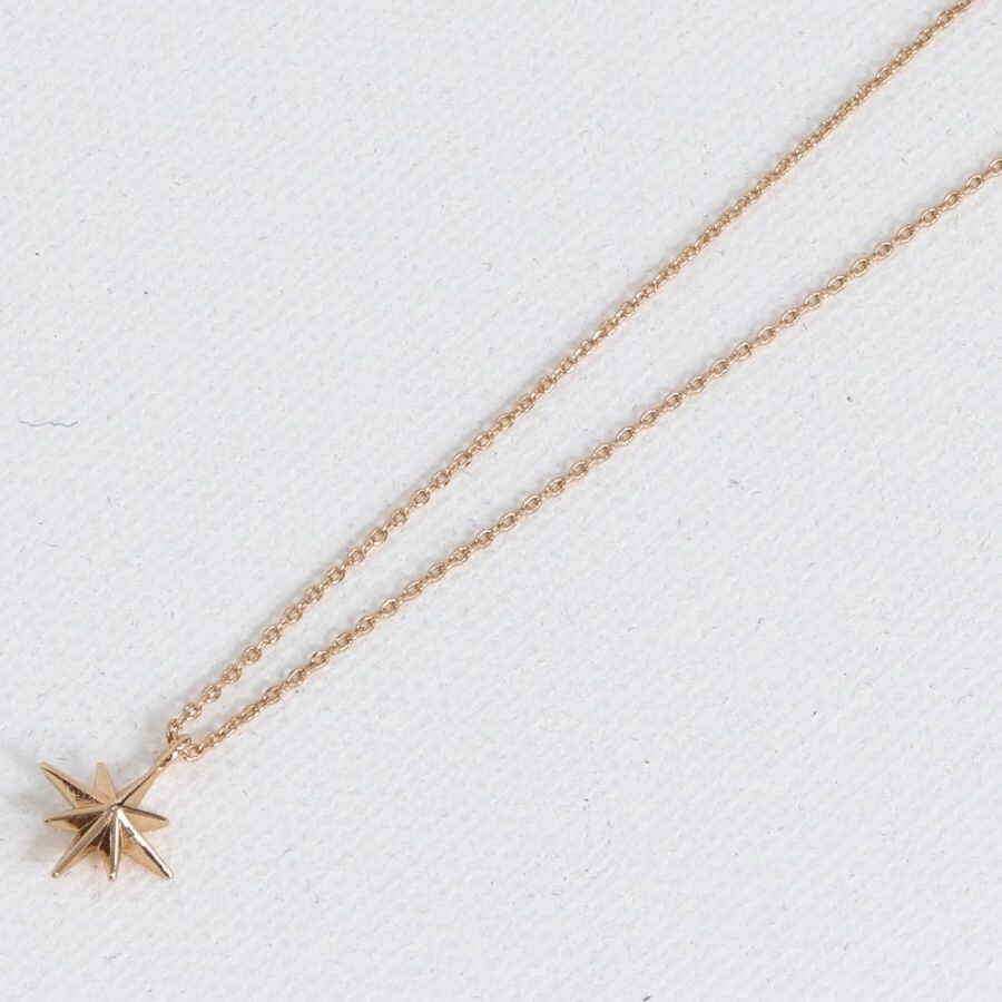 Ilaria Tiny Star Necklace