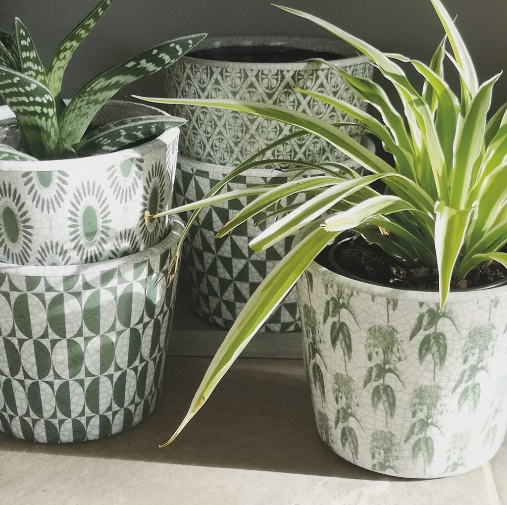 Arta Plant Pot, Size: 14x12cm, Colour: Verde, Design: Assorted