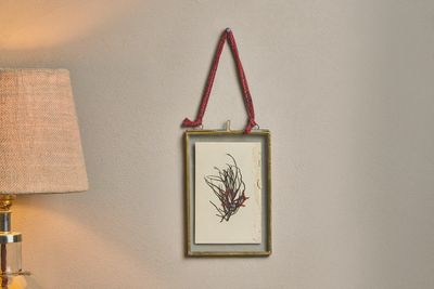 Medium Kiko Frame 5x7&quot;