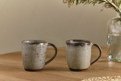 Mocha Cam Large Mug