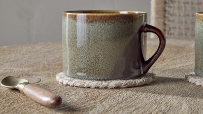 Naav Large Blue Mug