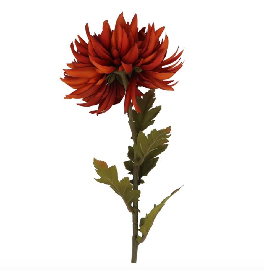Dark Orange Chrysanthemum Stem